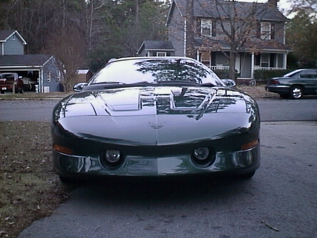 TAfront.gif