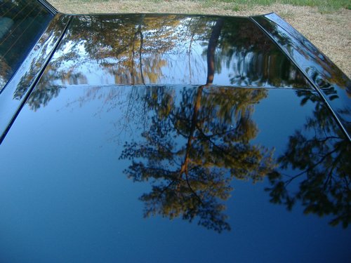 DSCF3101.JPG