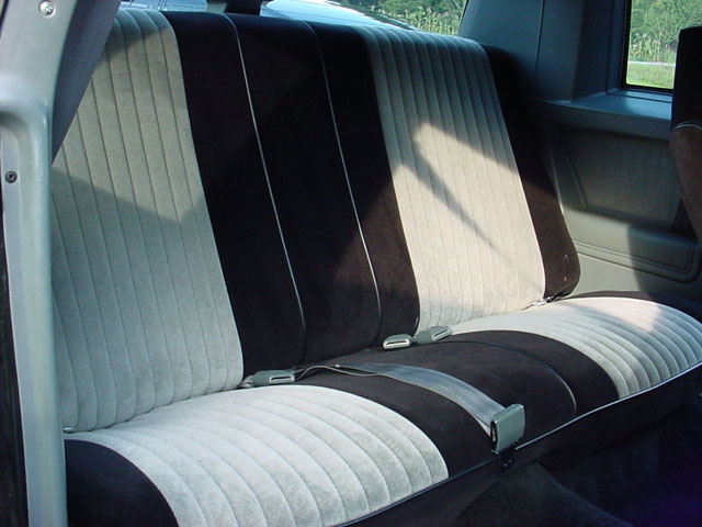 intpbackseat.jpg