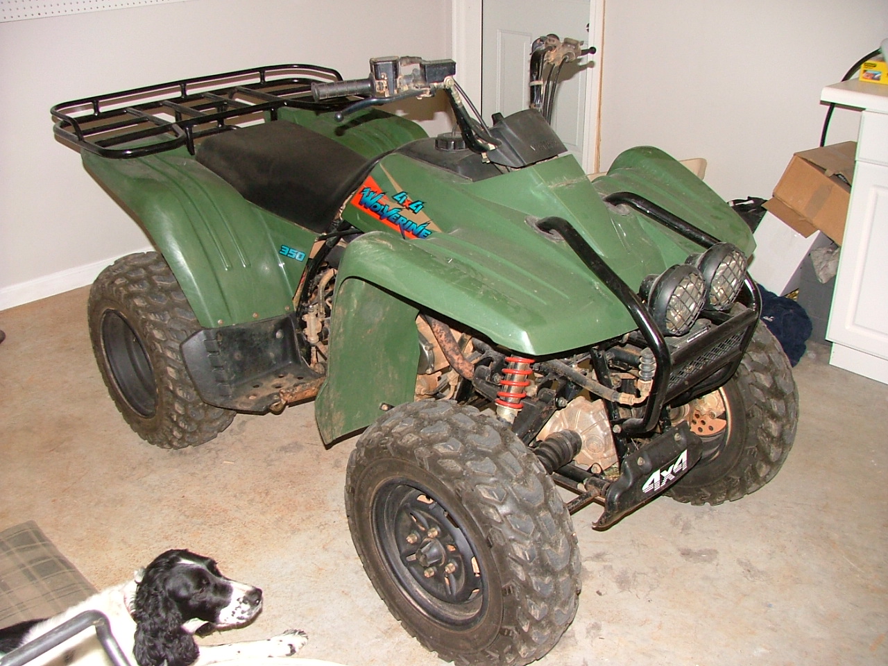 2004_0609Image0003.JPG