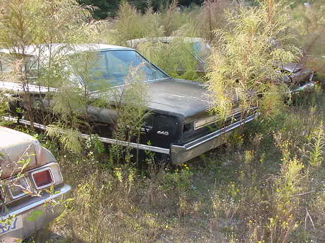 MVC-817S.JPG