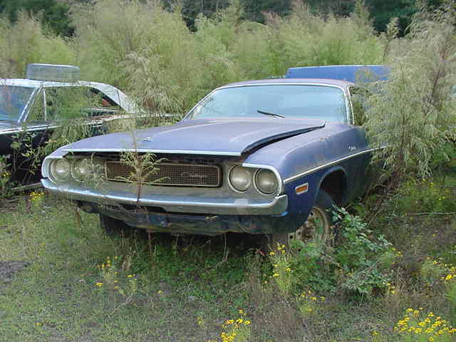 MVC-819S.JPG