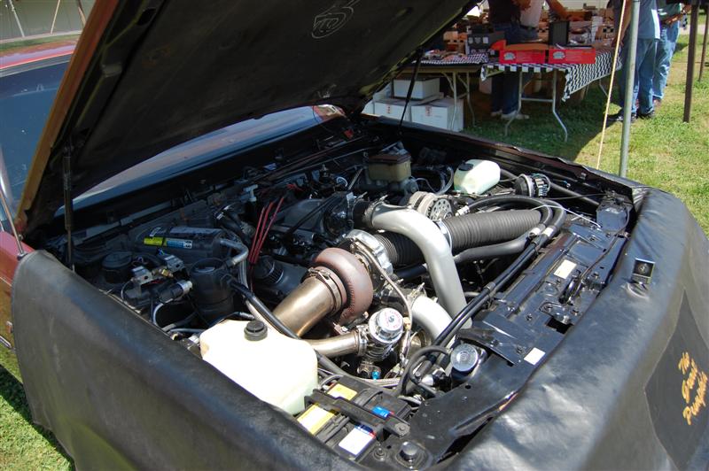DSC_0048 (Medium).JPG