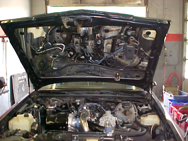 MVC-018F.JPG