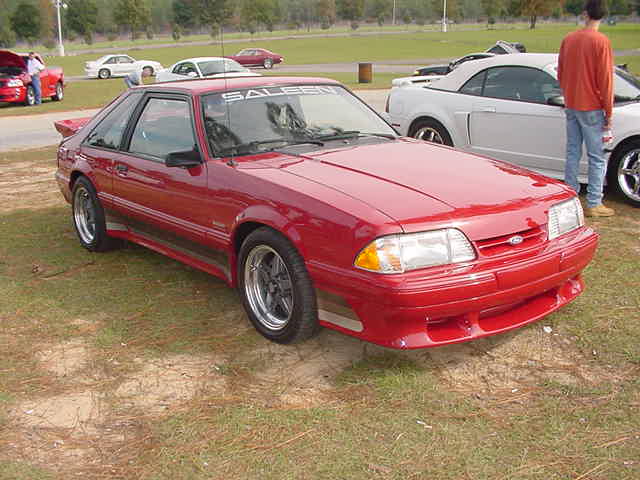 saleen2.JPG