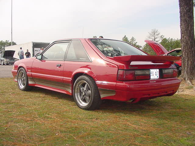 saleenrear.JPG