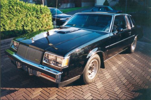 blackturbot1-vi.jpg